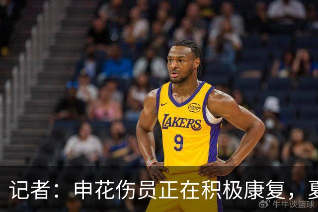 记者：申花伤员正在积极康复，夏窗人员调整工作稳步推进中